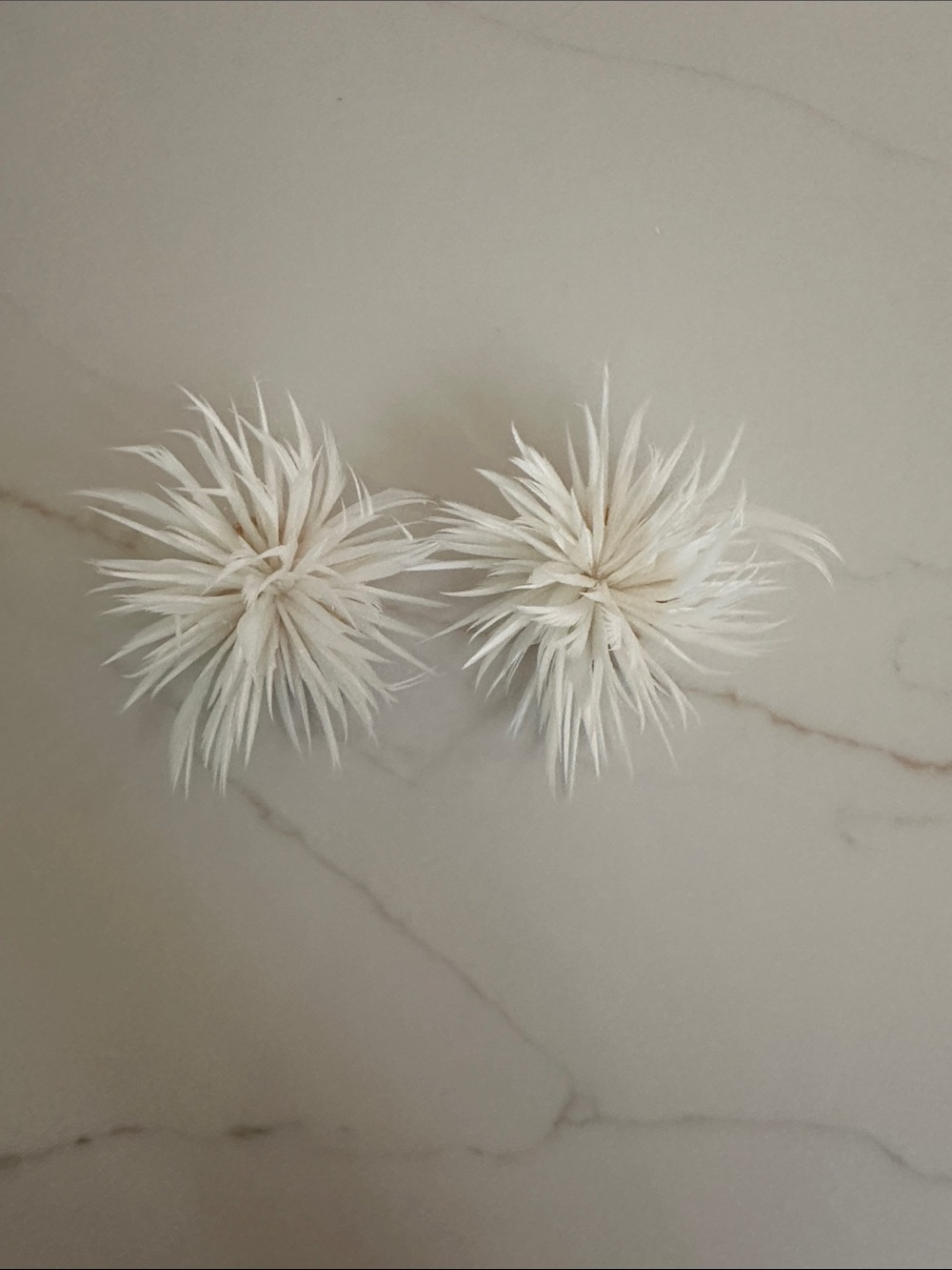 White feather earrings
